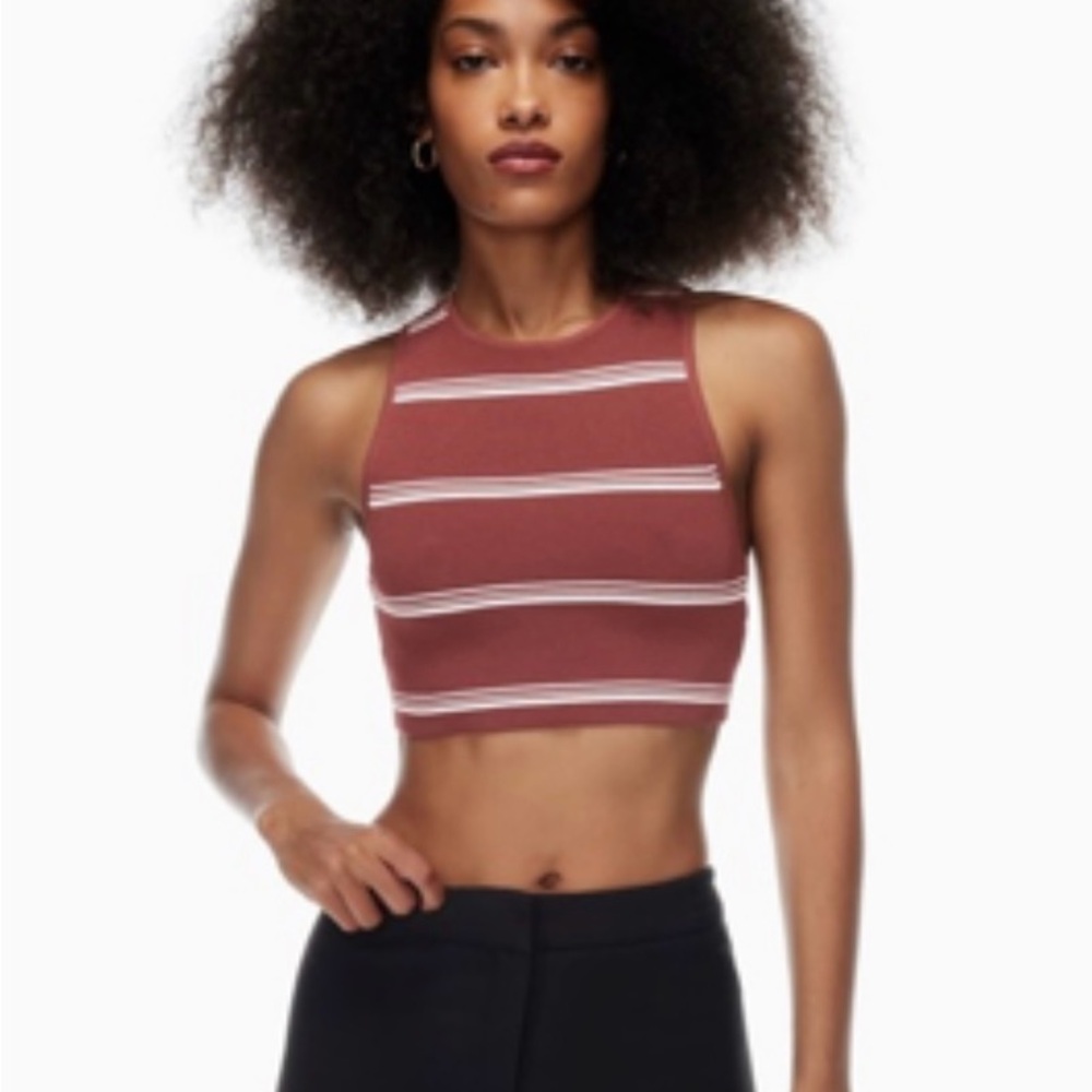 House of Harlow 1960 Striped Burgundy Crop Top